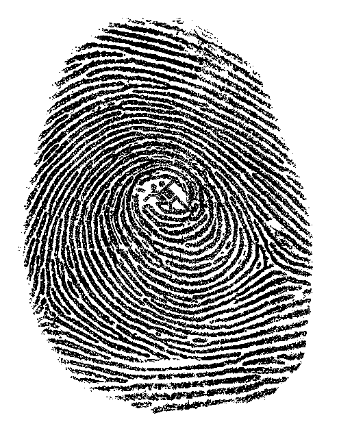 Fingerprint