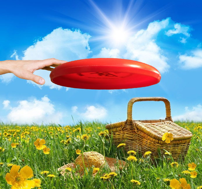 Picnic Disc