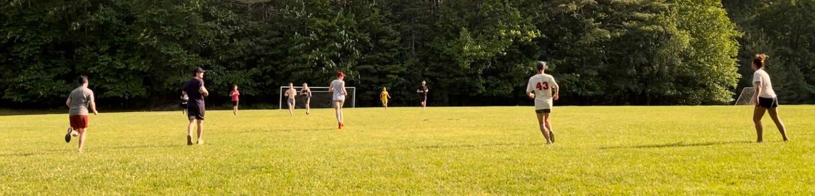 Woodstock Players from afar